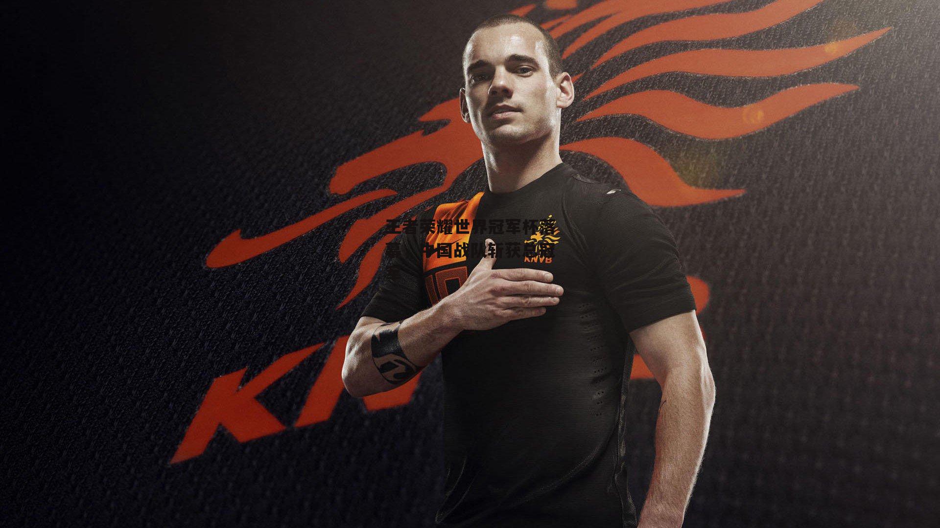 王者荣耀世界冠军杯落幕,中国战队斩获总冠军